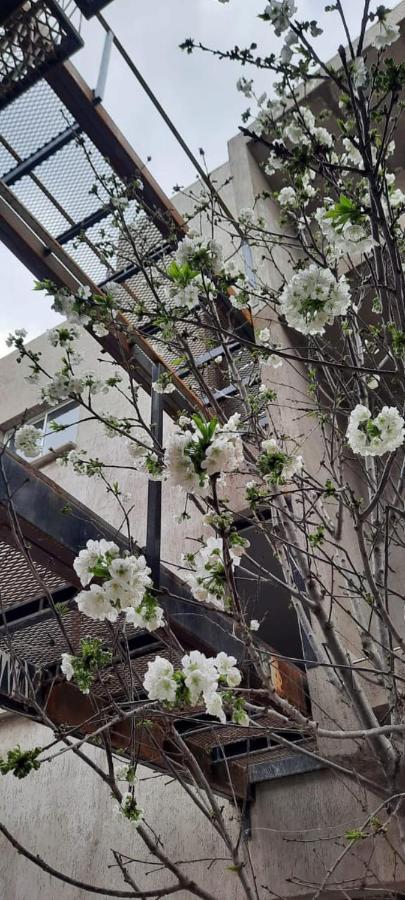 El Cerezo Daire Mendoza Dış mekan fotoğraf
